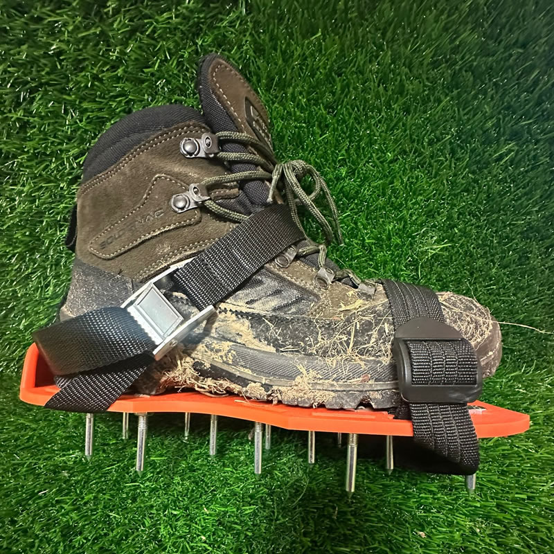 Accesorio para calzado